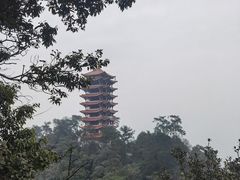 -缙云山景区