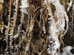 -西岭雪山大飞水景区