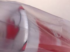 -蜜雪冰城(陆家嘴店)