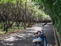-贵阳市花溪国家城市湿地公园
