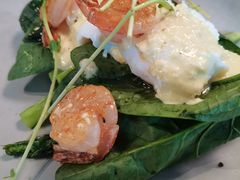 -Wagas沃歌斯(大学路店)