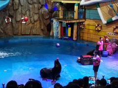 -烟台海昌鲸鲨海洋公园