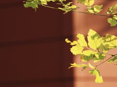 -浙江大学(紫金港校区)