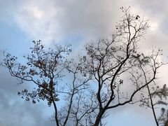 -尚贤河湿地