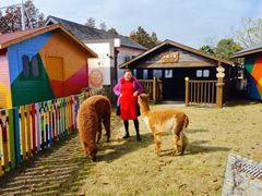 -太阳岛度假酒店