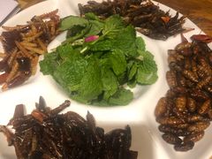 昆虫拼盘-醉云喃