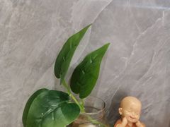 -火龙堂·风味民间菜(文一路店)