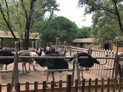 -秦皇岛野生动物园