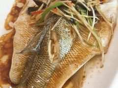 -雪乡阁东北农家菜(颛桥约好休闲街店)