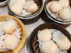 虾饺-红莲中餐厅(日航饭店)