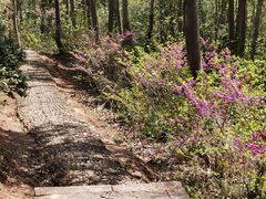 -天台山赤城山景区