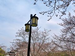 -苏州上方山国家森林公园
