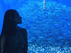 -成都浩海立方海洋公园