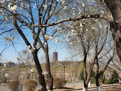 -永定河休闲森林公园