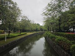 -顺德职业技术大学