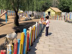 -西部长青自然儿童乐园