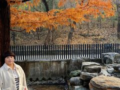 -白水寺森林公园