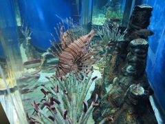 -福州罗源湾海洋世界旅游区