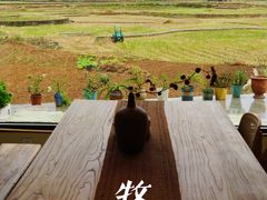 -万峰林风景区