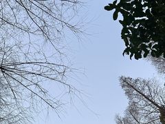 -豫园