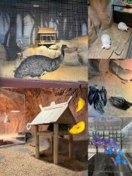 -酷嗒动物文化乐园(cutezoo西溪乐天城店)