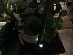 -胡桃里音乐酒馆(环亚凯瑟琳广场店)