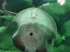 -苏州海洋馆
