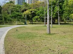 -福田红树林生态公园