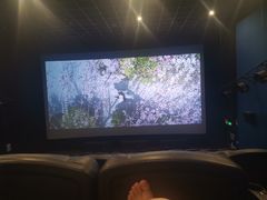 -万达影城(虎门万达广场IMAX店)