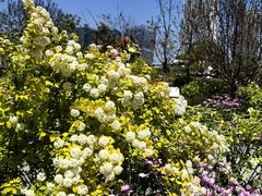 -东方体育中心(地铁站)