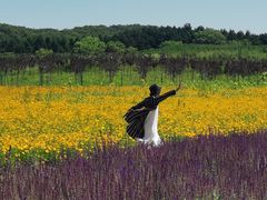 -莲花山花海
