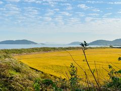 -西山风景区