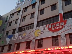 -陕西省小天鹅艺术团