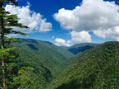 -凤凰山国家森林公园