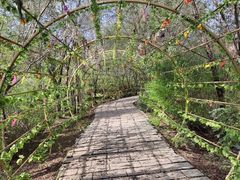 -西青郊野公园