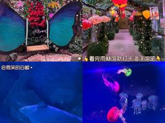 -正佳极地海洋世界