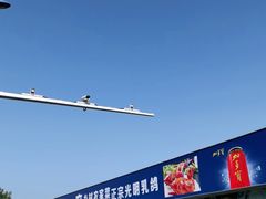 -光明农场大观园