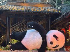 -小龙翻大江文化火锅(宽窄店)