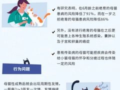 -芭比堂宠物医院·全科爱猫医院·仁德分院