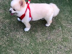 -七星潭蓝天广场