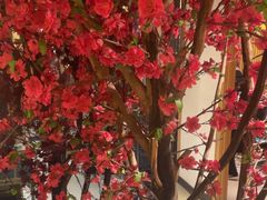 -黑家养生粥道馆(新世纪店)