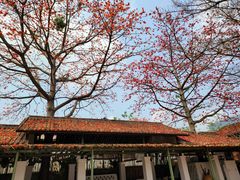 -喜洲吧·江畔老船厂·庭院餐厅(喜临院店)