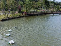 -王借岗森林公园