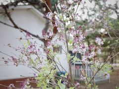 -朝阳公园