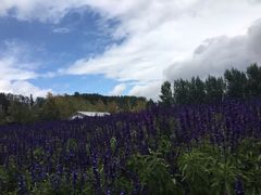 -富田农场