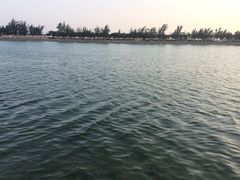-龙舟池