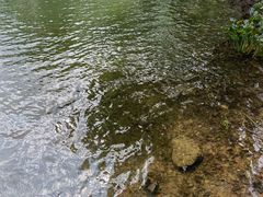 -紫霞湖公园