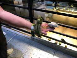 -酷嗒动物文化乐园(cutezoo西溪乐天城店)