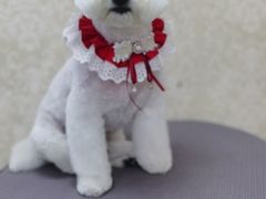 -乐琪宠物(青塔西路店)