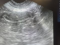 -瑞鹏宠物医院·爱宠堂·骨外专科(西荷分院)